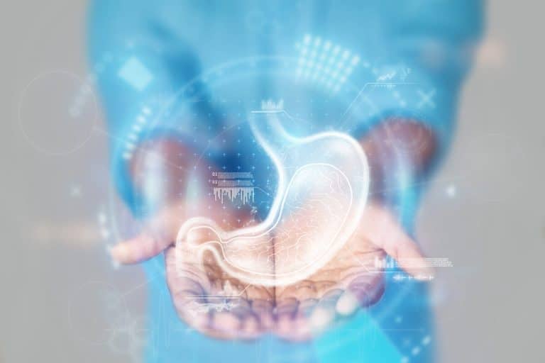 Medical concept, doctor's hands in a blue coat close-up and stomach hologram. X-ray, ultrasound of the stomach. Medical care, anatomy, doctor's appointment