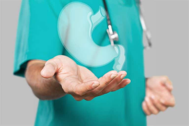 A doctor holding virtual Stomach in hand